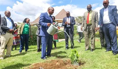 Investing in Green Gold: Agricultural Land Investment Trends in Kenya 2025